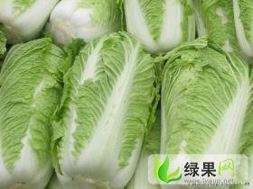 北京新三号大白菜大量上市