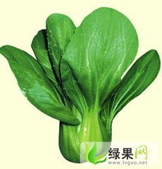 山东苍山苏州青：向城镇刘鹏