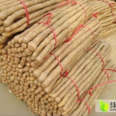 山东鄄城铁棍山药：闫什镇