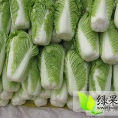 安徽固镇白菜：石湖乡石三将