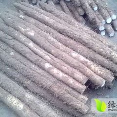 湖北钟祥九斤黄山药：柴胡镇朱静