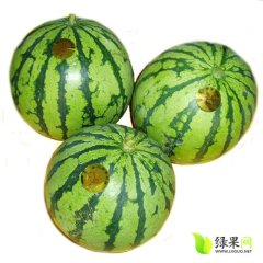 吉林农安全福999：农安张伟明