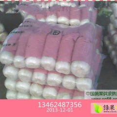 河南博爱北京新三号：孝敬镇余国亮