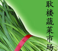 山东莘县苔韭露地:张鲁镇耿爱义