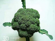 河南省新野县城郊乡曹小强:优质西兰花