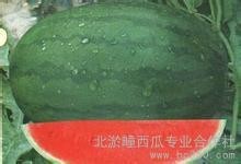 河北广宗龙卷风：北淤疃李书岭