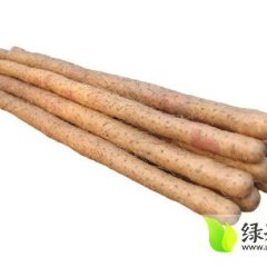 河北深泽小白嘴白山药：大兴村王动军