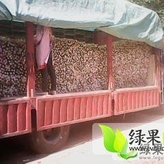 2014年山东单县九斤黄山药价格明细