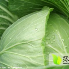 湖北嘉鱼平包：潘家湾周元生