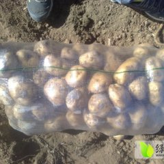 内蒙古集宁克新一号：玻璃忽张志军