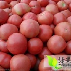 山东费县硬粉：薛庄镇高占峰