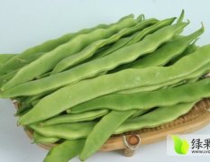 山东莘县扁青：徐庄蔬菜交易市场
