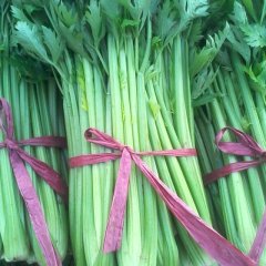 山东禹城加州王（文图拉）：市中