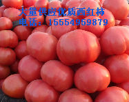 山东费县硬粉：薛庄镇范学军