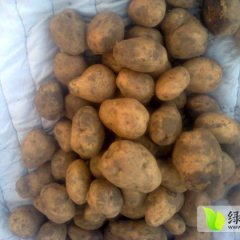 最新消息，围场克新一号以要大量