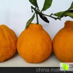 四川东坡四川东坡长期代：盘鳌乡