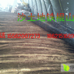 哪里的山药最便宜 曹县