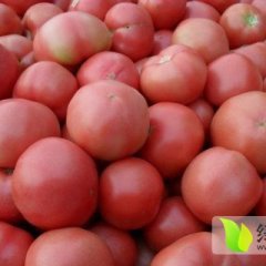 山东费县欧冠：薛庄镇范学帅