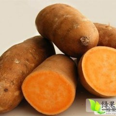 山东东港地瓜销售：南湖镇王杰欢迎您