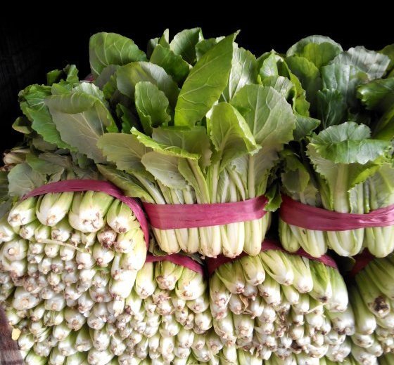小白菜价格