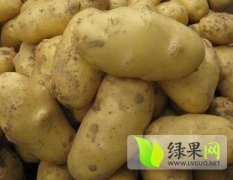 内蒙古集宁荷兰十五：商都县邱继贇