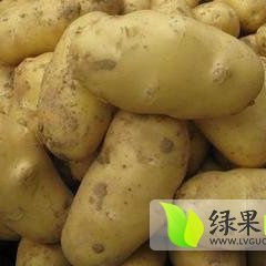 内蒙古集宁荷兰十五：商都县邱继贇