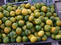 湖南江永迥峰蜜桔：回龙圩吴志峰