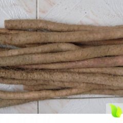 云南大理供应500吨麻山药