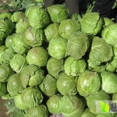 湖北米亚罗：七里湖闵小平