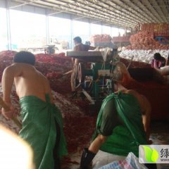 大量供应金塔：山东济宁金乡县红日子辣椒专业合作社