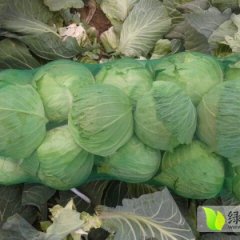 湖北钟祥米亚罗：钟祥胡