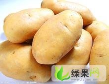 河北围场荷兰七号：宝元栈段树军