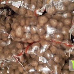 内蒙古集宁夏波蒂土豆 根据要求现装