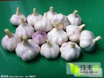 2018年山东金乡金乡大蒜价格