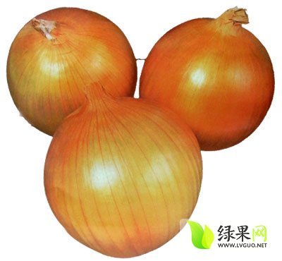 2014年山东平度黄皮洋葱价格