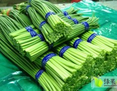 山东金乡供应蒜苔：马集宗兆蒙