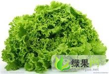 2014年河北永年散叶生菜价格