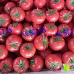 潍坊市舜王街道银领218番茄3.5元