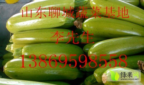 2014年山东东昌府京葫三号价格