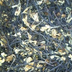 云南大理市野生干蕨菜：大理市杨常春