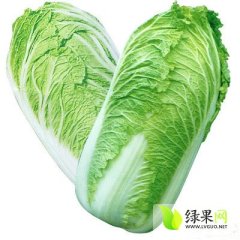 河北乐亭北京新三号：毛庄陈先生