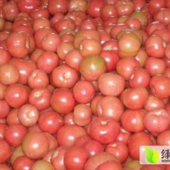 山东费县鸿远果蔬批发市场西红柿供应