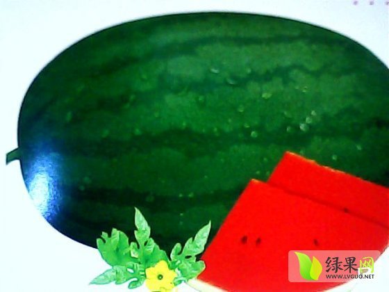2013年河南通许龙卷风价格