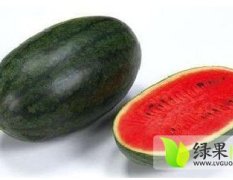 湖北宜城西瓜5月份--7月份