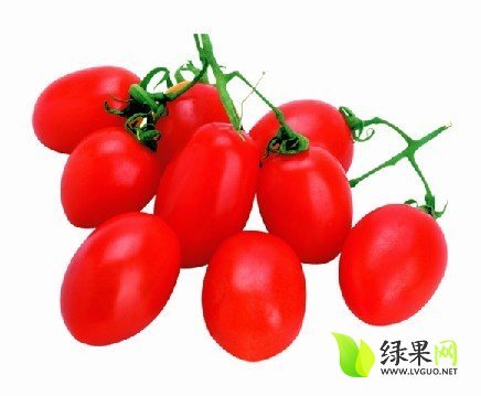 2014年河南滑县1416价格