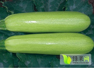 2014年山东东昌府佳美西葫芦价格