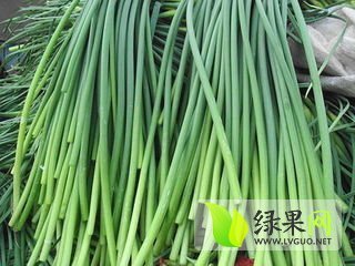 红帽蒜薹价格
