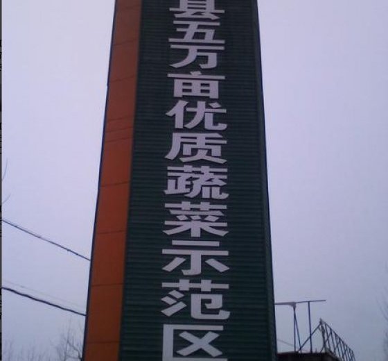 2014年山东兰陵密刺黄瓜价格