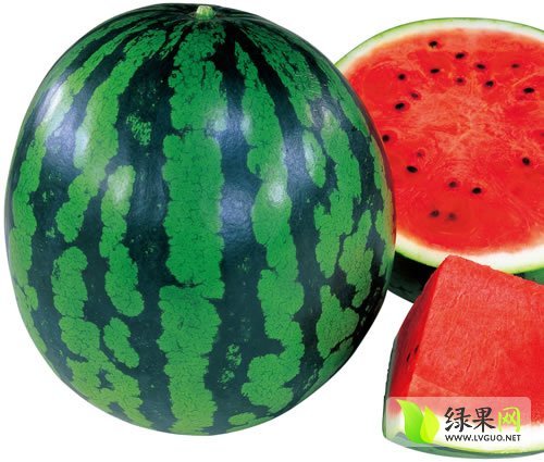 2014年山东天桥301西瓜种子价格