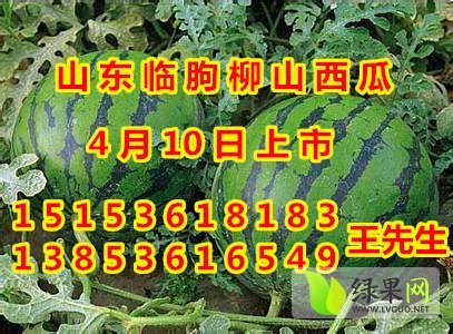 2013年山东昌乐京欣价格